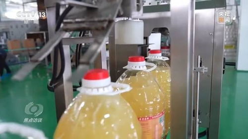 跨越黃茅海,走近超級(jí)工程 拓圈 背后的故事