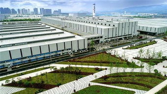 屏南去香港做胎兒性別鑒定 諧富科技