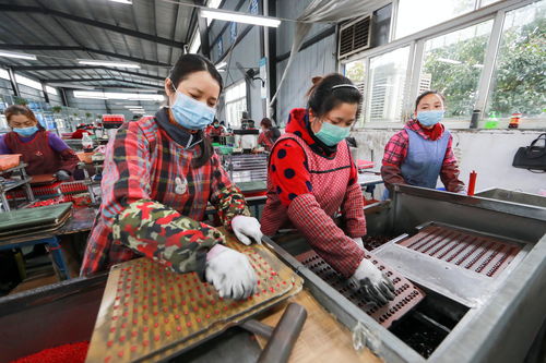 貴州大龍 扶貧工廠外貿(mào)產(chǎn)品復(fù)工復(fù)產(chǎn)忙