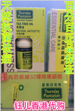 【星期四茶樹】最新最全星期四茶樹 產品參考信息