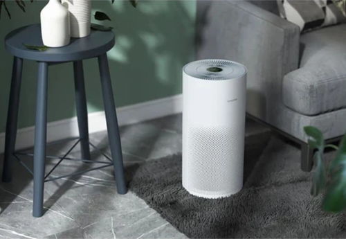 2021年米粉節(jié)全面來(lái)襲,哪些生態(tài)鏈公司值得關(guān)注